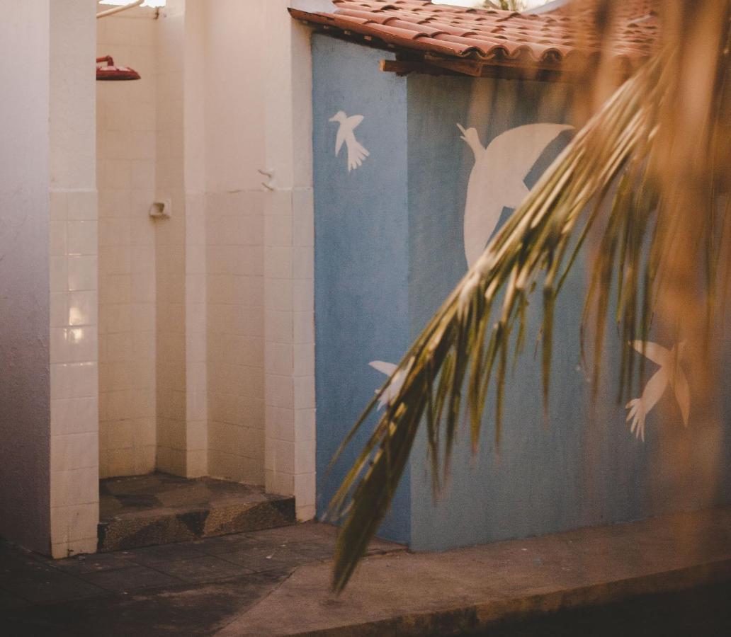 4 Quartos Ao Lado Da Praia Do Patacho Pôrto de Pedras Екстериор снимка